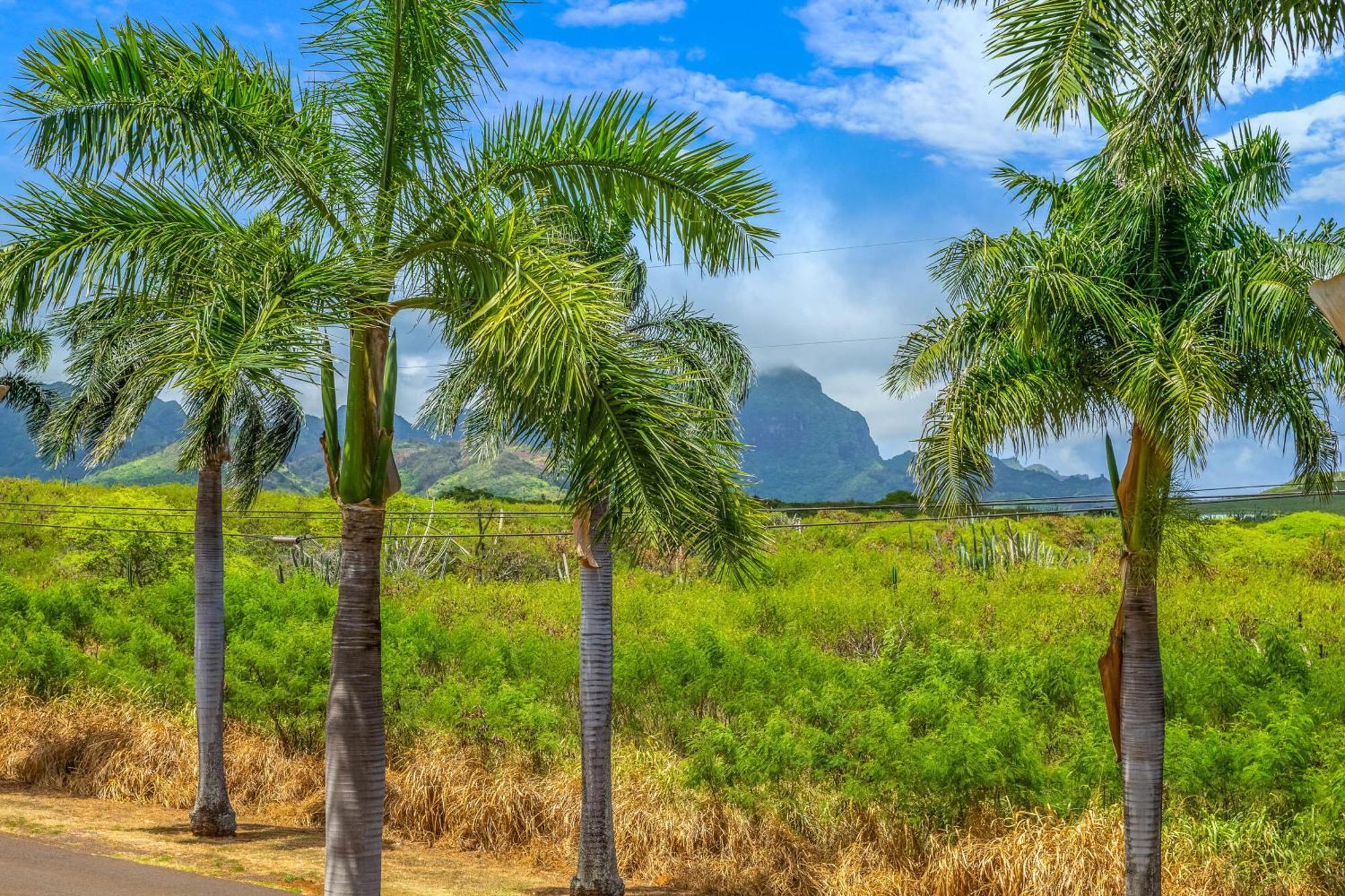Pili Mai II Villa Koloa Oda fotoğraf